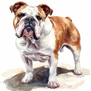 Bulldog Clipart, English Bulldog Images, 10 Watercolor Clip Art, Printable JPGs, Instant Download, Commercial Use, Paper craft