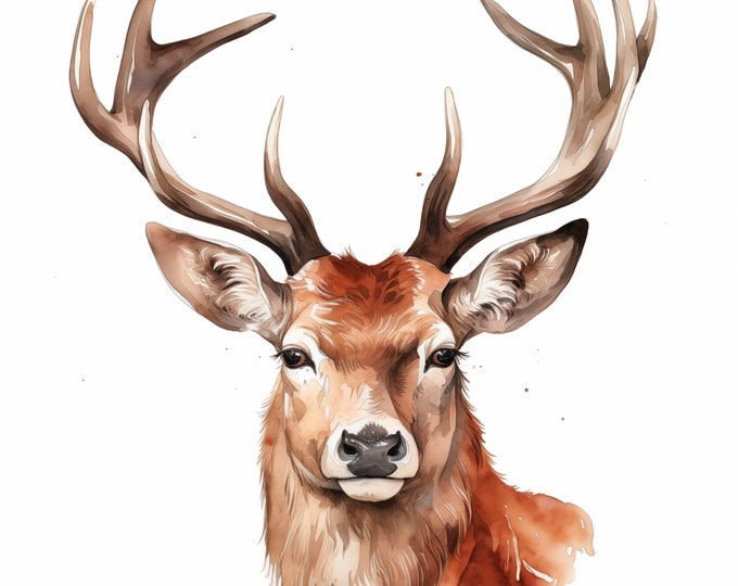 Red Deer Clipart, Deer Head Images, 15 Watercolor Clip Art, Printable JPGs, Instant Download, Commercial Use, Paper craft