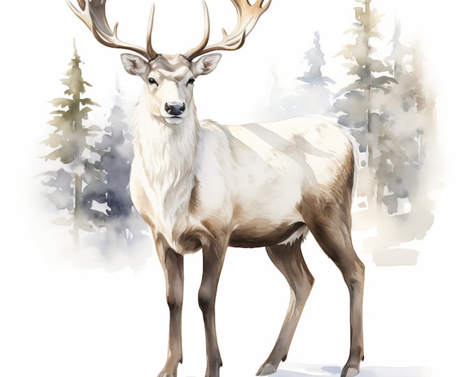 Scandi Reindeer Clipart, White Christmas Deer Images, 10 Watercolor Clip Art, Printable JPGs, Instant Download, Commercial Use, Paper craft