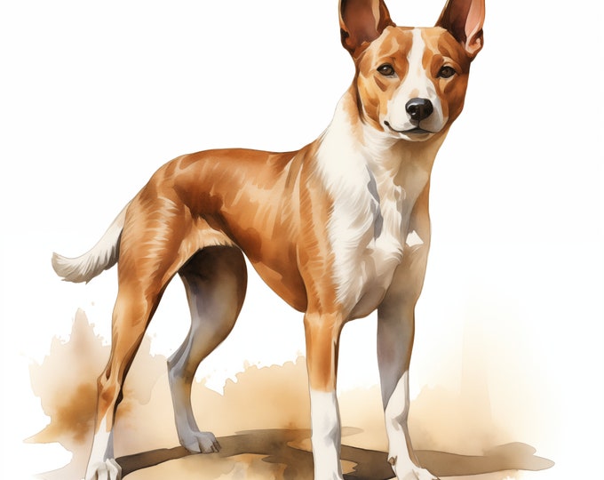 Basenji Clipart, Basenji Dog Images, 10 Watercolor Clip Art, Printable JPGs, Instant Download, Commercial Use, Paper craft