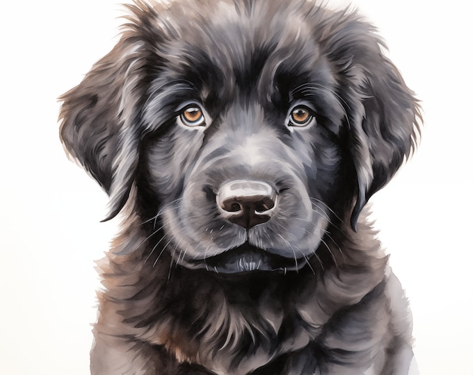 Newfoundland Dog Clipart, Puppy Dog Images, 10 Watercolor Clip Art, Printable JPGs, Instant Download, Commercial Use, Paper craft