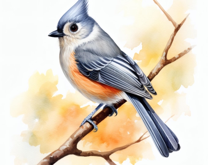 Titmouse Bird Clipart, Songbird Images, 10 Watercolor Clip Art, Printable JPGs, Instant Download, Commercial Use, Paper craft