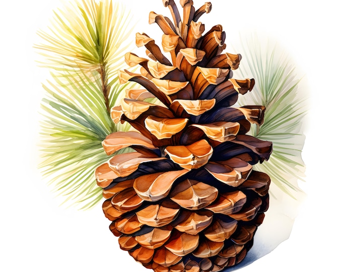 Pine Cone Clipart, Christmas Fir Tree Images, 10 Watercolor Clip Art, Printable JPGs, Instant Download, Commercial Use, Paper craft