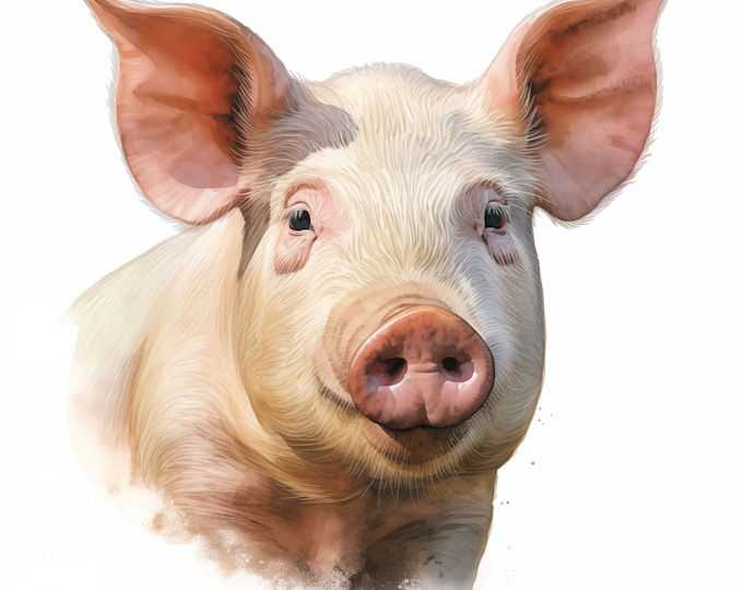 Pig Clipart, Pig Head Images, 13 Watercolor Clip Art, Printable JPGs, Instant Download, Commercial Use, Paper craft