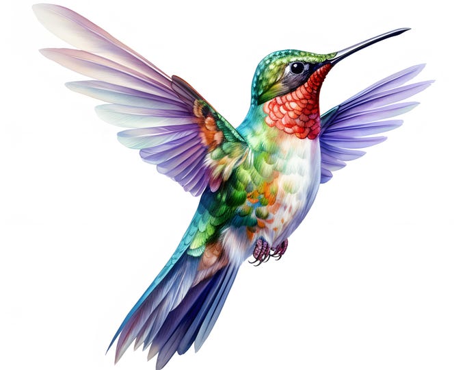 Colibri Clipart, Hummingbird Images, 10 Watercolor Clip Art, Printable JPGs, Instant Download, Commercial Use, Paper craft