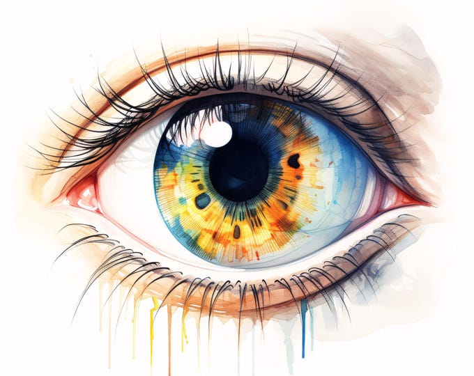 Watercolor Human Eye Anatomy Clipart: Printable JPG Images (Commercial Use, Instant Download)