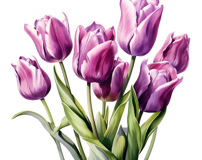 Purple Tulips Clipart, Bouquet of Tulips Images, 10 Watercolor Clip Art, Printable JPGs, Instant Download, Commercial Use, Paper craft