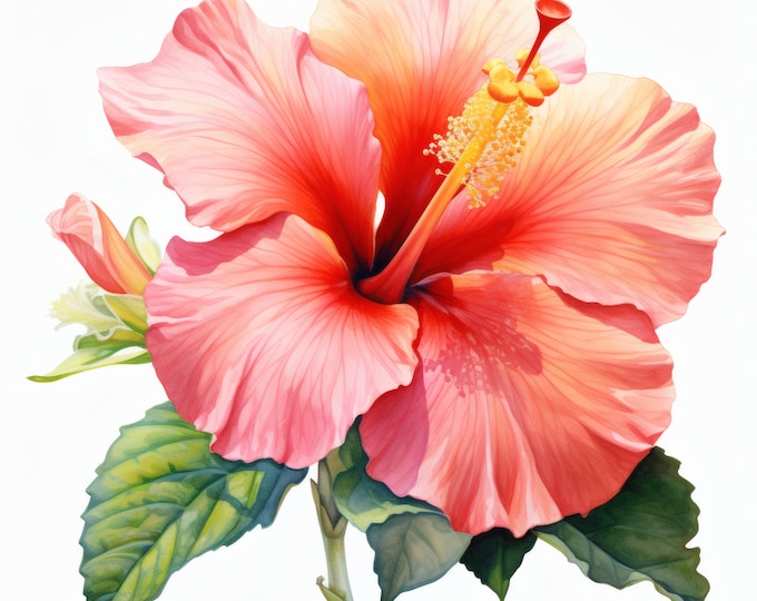 Hibiscus Flower Clipart, Tropical Bloom Images, 10 Watercolor Clip Art, Printable JPGs, Instant Download, Commercial Use, Paper Craft