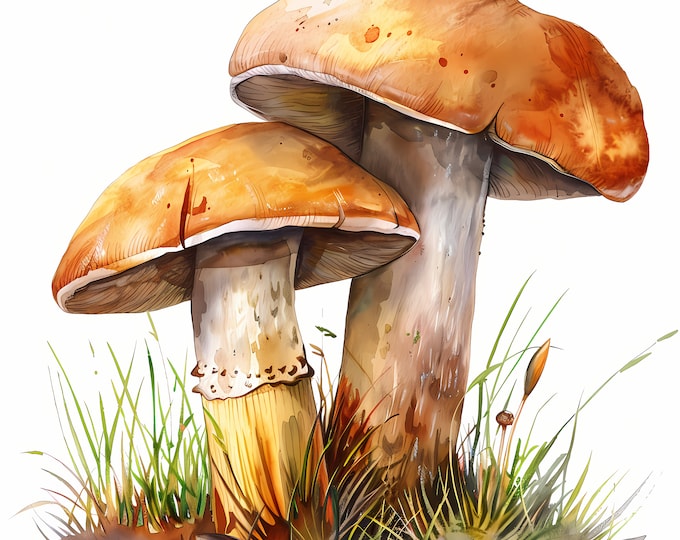 Mushrooms Clipart, Mushrooms Images, 10 Watercolor Clip Art, Printable JPGs, Instant Download, Commercial Use, Paper craft