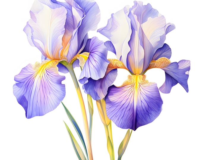 Irises Flowers Clipart, Wild Iris Images, 10 Watercolor Clip Art, Printable JPGs, Instant Download, Commercial Use, Paper craft