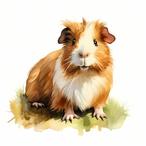 Guinea Pig Clipart, Guinea Pigs Images, 10 Watercolor Clip Art, Printable JPGs, Instant Download, Commercial Use, Paper craft