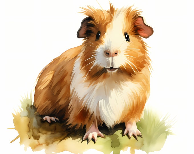 Guinea Pig Clipart, Guinea Pigs Images, 10 Watercolor Clip Art, Printable JPGs, Instant Download, Commercial Use, Paper craft