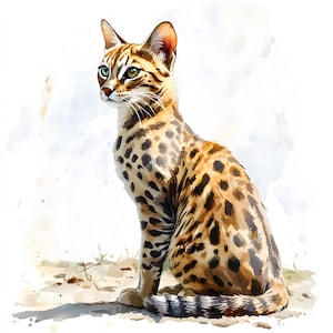 Clipart chat de la savane, images de chaton exotique, 10 cliparts aquarelle, fichiers JPG imprimables, téléchargement immédiat, usage commercial, créations en papier