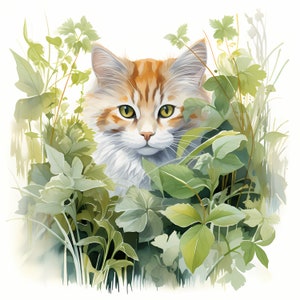Imágenes prediseñadas de gato en plantas, gatito lindo, imágenes de gato en el jardín, 10 imágenes prediseñadas de acuarela, archivos JPG imprimibles, descarga instantánea, uso comercial, manualidades de papel