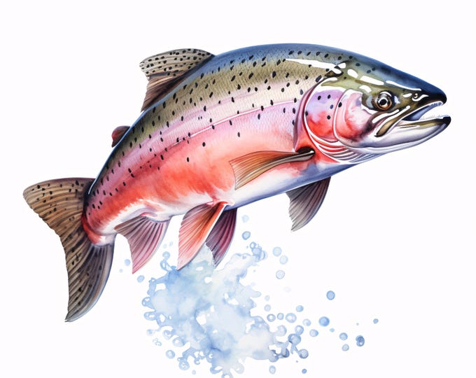 Salmon Fish Clipart, Freshwater Fish Images, 10 Watercolor Clip Art, Printable JPGs, Instant Download, Commercial Use, Paper craft