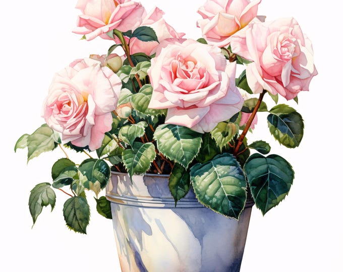 Potted Roses Clipart, Pink Flower Pot Images, 10 Watercolor Clip Art, Printable JPGs, Instant Download, Commercial Use, Paper craft