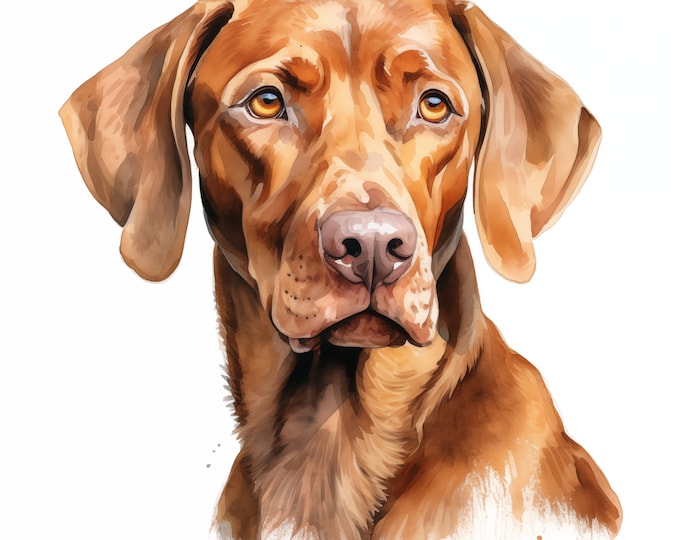 Hungarian Vizsla Clipart, Vizsla Dog Images, 10 Watercolor Clip Art, Printable JPGs, Instant Download, Commercial Use, Paper craft