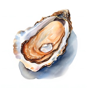 Watercolor Oyster Clipart: Coastal Seafood Images (JPGs, Commercial Use)