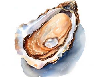 Clipart de ostras en acuarela: Imágenes de mariscos costeros (JPG, uso comercial)