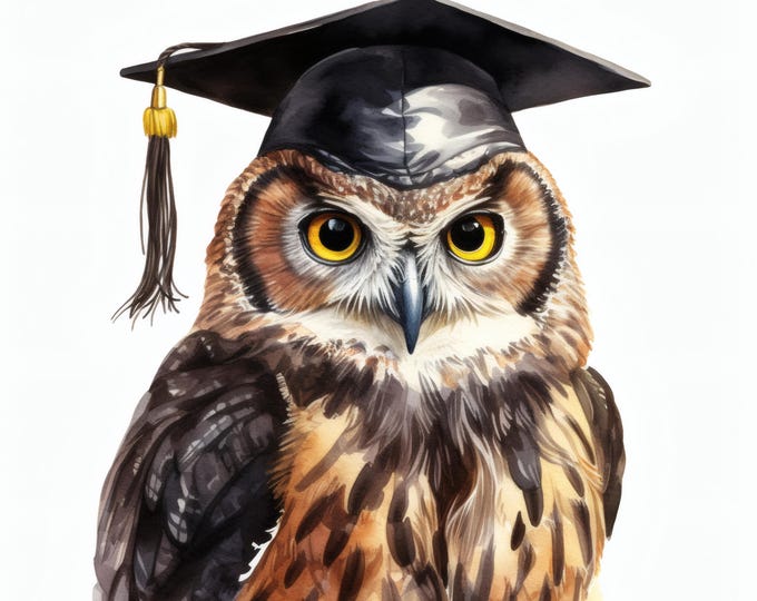 Owl Graduation Clipart, Academic Bird Images, 10 Watercolor Clip Art, Printable JPGs, Instant Download, Commercial Use, Paper Craft