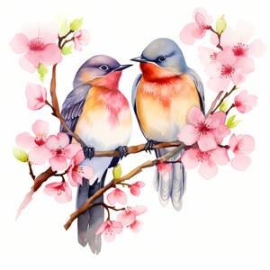 Love Birds Clipart, Birds Couple Images, 10 Watercolor Clip Art ...
