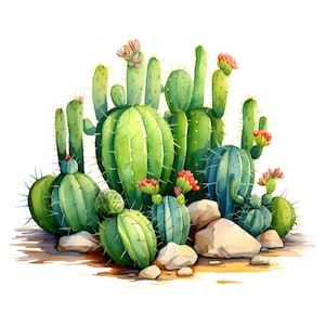 Cacti Clipart, Cactus Images, 10 Watercolor Clip Art, Printable JPGs, Instant Download, Commercial Use, Paper craft