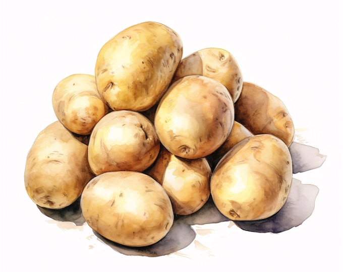 Potatoes Clipart, Rustic Vegetable Images, 10 Watercolor Clip Art, Printable JPGs, Instant Download, Commercial Use, Paper craft