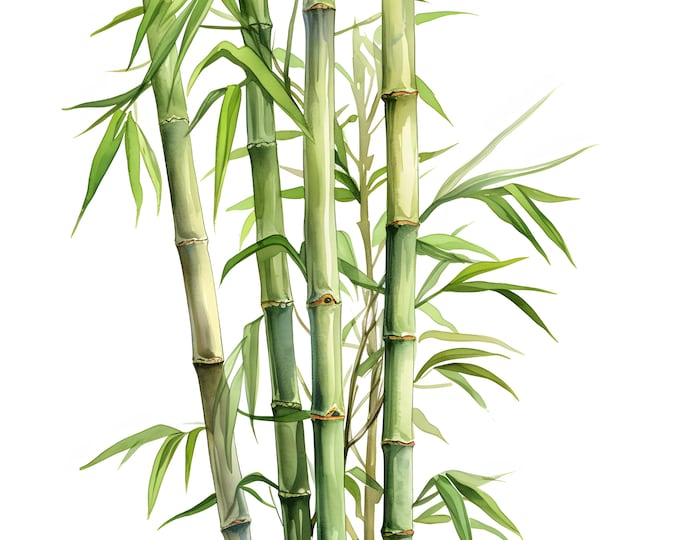 Bamboo Clipart, Bamboo Sticks Images, 10 Watercolor Clip Art, Printable JPGs, Instant Download, Commercial Use, Paper craft
