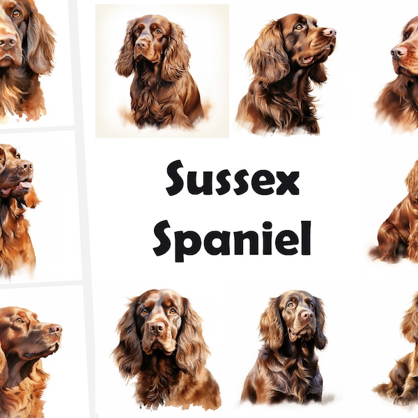 10 Sussex Spaniel, Sussex Spaniel Dog JPG, Watercolor Clipart, High Quality, Digital Download, High Resolution, Commercial Use