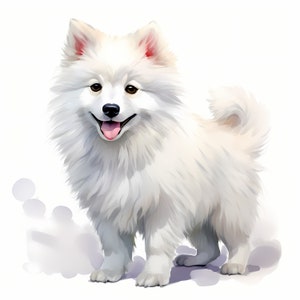 Clipart Spitz japonais, chiot, Images de chien Spitz, 10 images clipart aquarelle, fichiers JPG imprimables, téléchargement immédiat, usage commercial, créations en papier