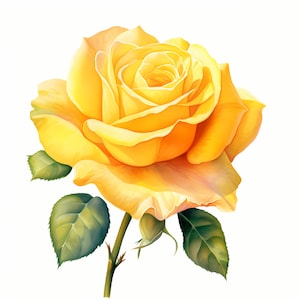 Imágenes de rosas amarillas, 10 imágenes de acuarela, JPG imprimibles, descarga instantánea, uso comercial, manualidades de papel