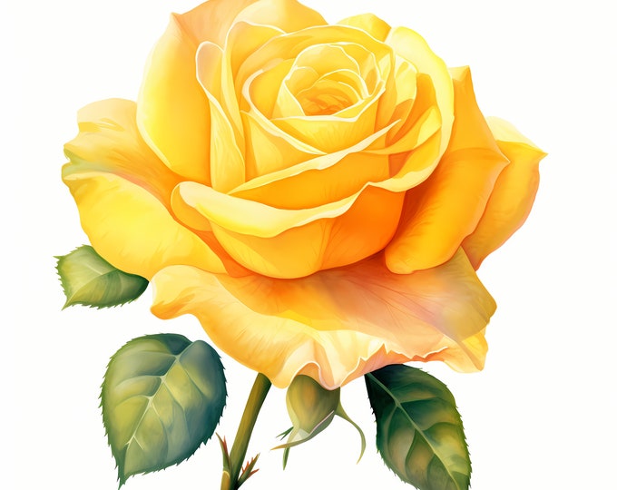 Yellow Rose Clipart, Yellow Roses Images, 10 Watercolor Clip Art, Printable JPGs, Instant Download, Commercial Use, Paper craft