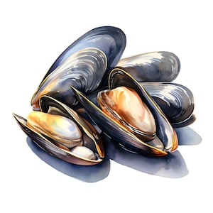 Mussels Clipart, Mussel Shells Images, 10 Watercolor Clip Art, Printable JPGs, Instant Download, Commercial Use, Paper craft