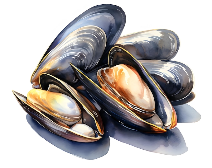 Mussels Clipart, Mussel Shells Images, 10 Watercolor Clip Art, Printable JPGs, Instant Download, Commercial Use, Paper craft