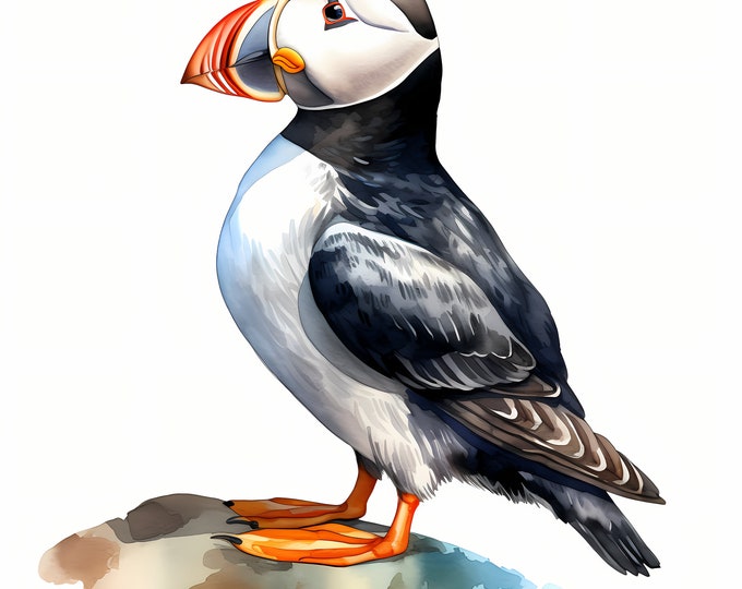 Puffin, Atlantic Bird, Adorable Cute Puffin - Watercolor Clipart Set with 10 JPG Images - Instant Download, Commercial Use, Digital Prints