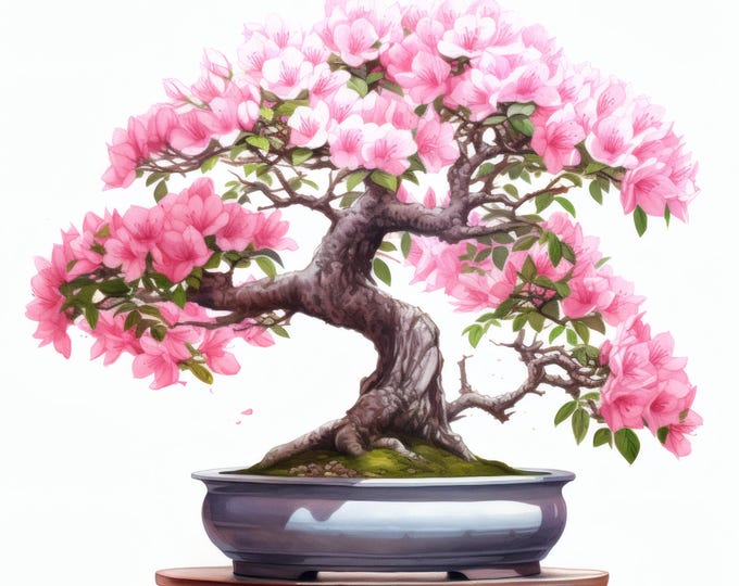 Bonsai Tree Clipart, Cherry Blossom Images, 10 Watercolor Clip Art, Printable JPGs, Instant Download, Commercial Use, Paper craft