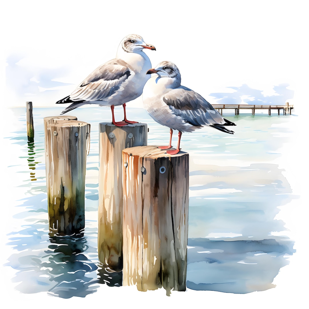 Seagull Clipart, Gulls on Pier Posts Images, 10 Watercolor Clip Art ...