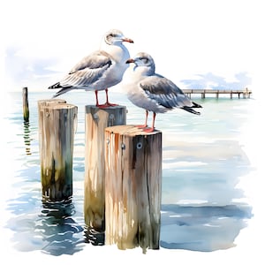 Zeemeeuw clipart, meeuwen op pier posten afbeeldingen, 10 aquarel illustraties, afdrukbare JPG's, Instant Download, Commercieel gebruik, Papercraft