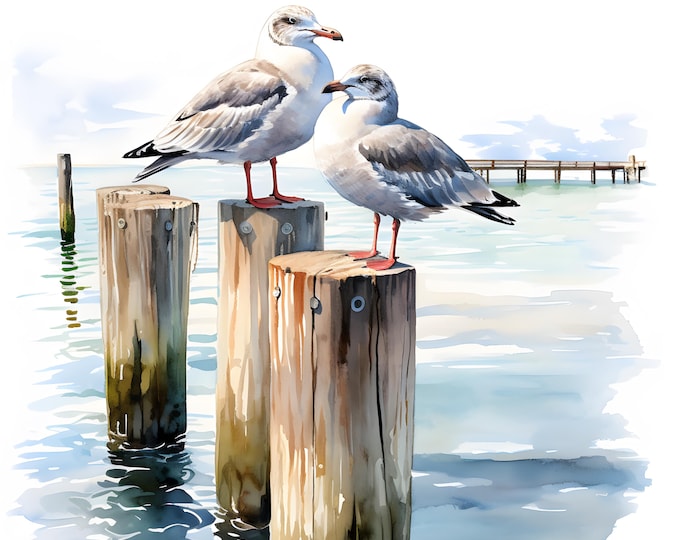 Seagull Clipart, Gulls on Pier Posts Images, 10 Watercolor Clip Art, Printable JPGs, Instant Download, Commercial Use, Paper craft