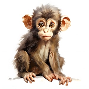 Affen Baby Clipart, 10 Aquarell Clip Art, druckbare JPGs, Sofort Download, kommerzielle Nutzung, Papiermodell, 10x10 cm