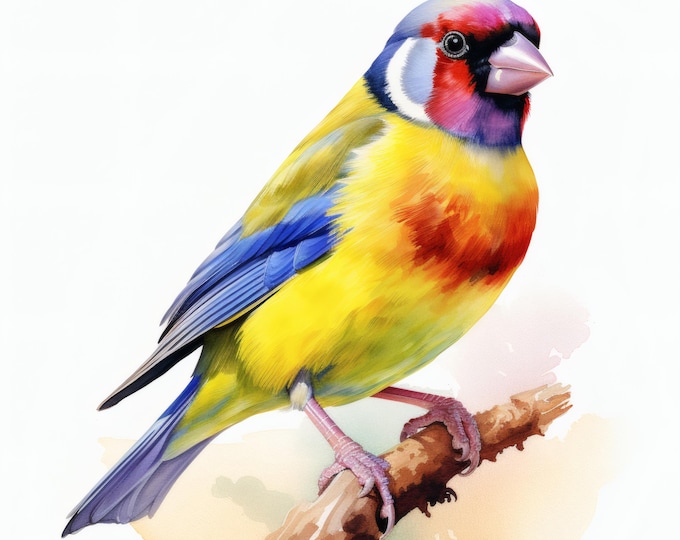 Gouldian Finch Clipart, Colorful Bird Images, 10 Watercolor Clip Art, Printable JPGs, Instant Download, Commercial Use, Paper Craft