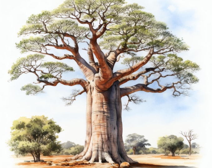 Baobab Tree Clipart, African Landscape Nature Images, 10 Watercolor Clip Art, Printable JPGs, Instant Download