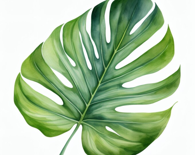Monstera Leaf Clipart, Tropical Plant Images, 10 Watercolor Clip Art, Printable JPGs, Instant Download, Commercial Use, Paper craft