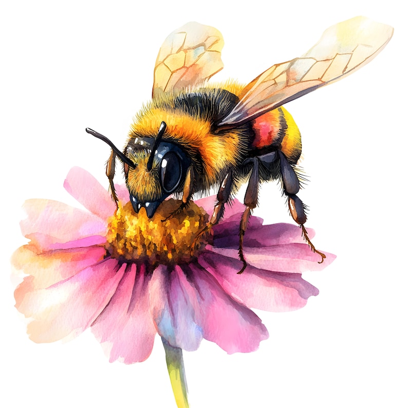 Watercolor Bee Clipart: Floral Bee Images for Commercial Use (jpgs ...