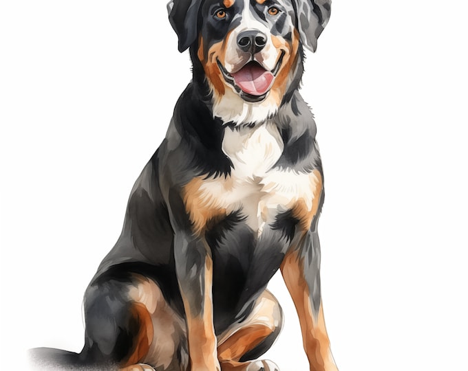 Greater Swiss Mountain Dog Clipart, Swiss Dog Images, 10 Watercolor Clip Art, Printable JPGs, Instant Download, Commercial Use, Paper craft
