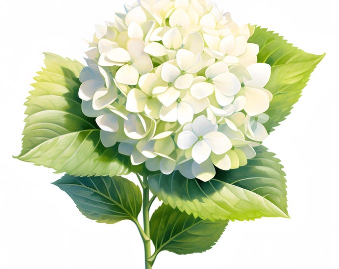 Hydrangea Clipart, Spring Flowers Images, 10 Watercolor Clip Art, Printable JPGs, Instant Download, Commercial Use, Paper craft