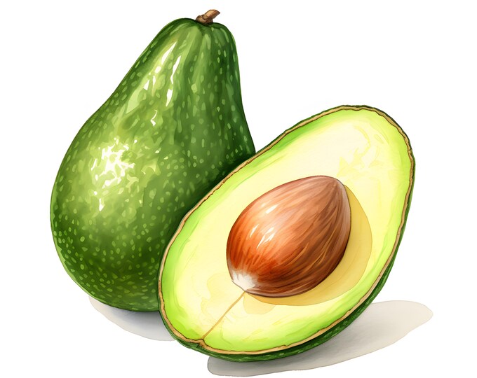 Avocado Clipart, Avocado Half Images, 10 Watercolor Clip Art, Printable JPGs, Instant Download, Commercial Use, Paper craft