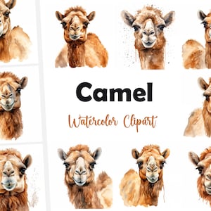 Clipart di cammello, immagini di cammello nel deserto, 10 clipart ad acquerello, JPG stampabili, download istantaneo, uso commerciale, artigianato con la carta