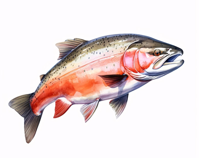 Salmon Fish Clipart, Freshwater Fish Images, 10 Watercolor Clip Art, Printable JPGs, Instant Download, Commercial Use, Paper craft