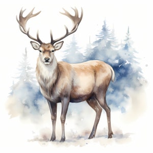 Clipart di renne reali, immagini di cervi natalizi, 10 clipart ad acquerello, JPG stampabili, download istantaneo, uso commerciale, creazione di carta